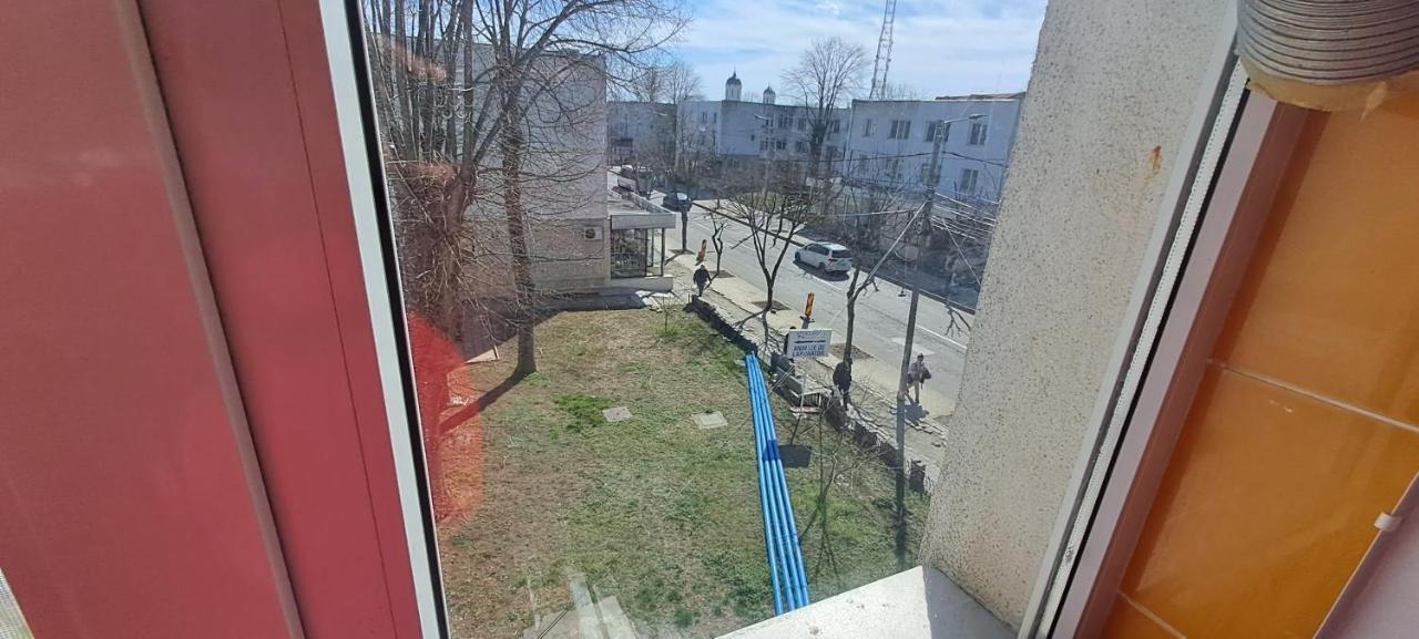 Apartament Grigore Etaj 2 曼加利亚 外观 照片
